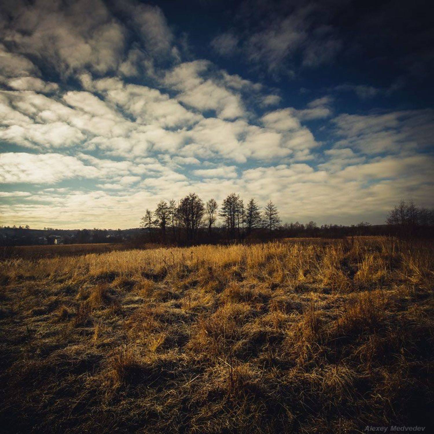 васильков васильків стугна, Алексей Медведев