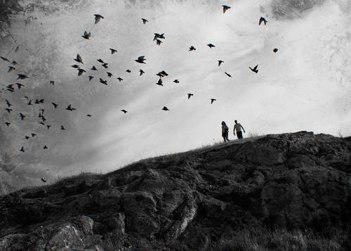 Боспорских скворцов арена.