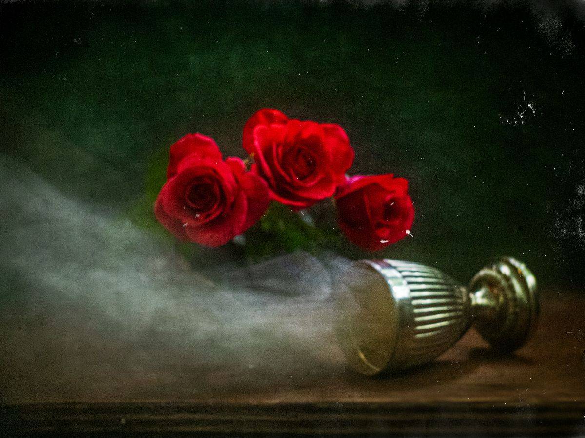 , Татьяна Аверина