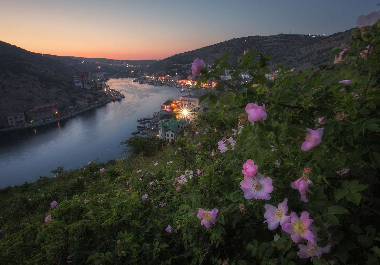 вечерний пейзаж, балаклава, вечер, горы, закат, крым, море, пейзаж, розы, севастополь, цветы, Екатерина Дмитренко