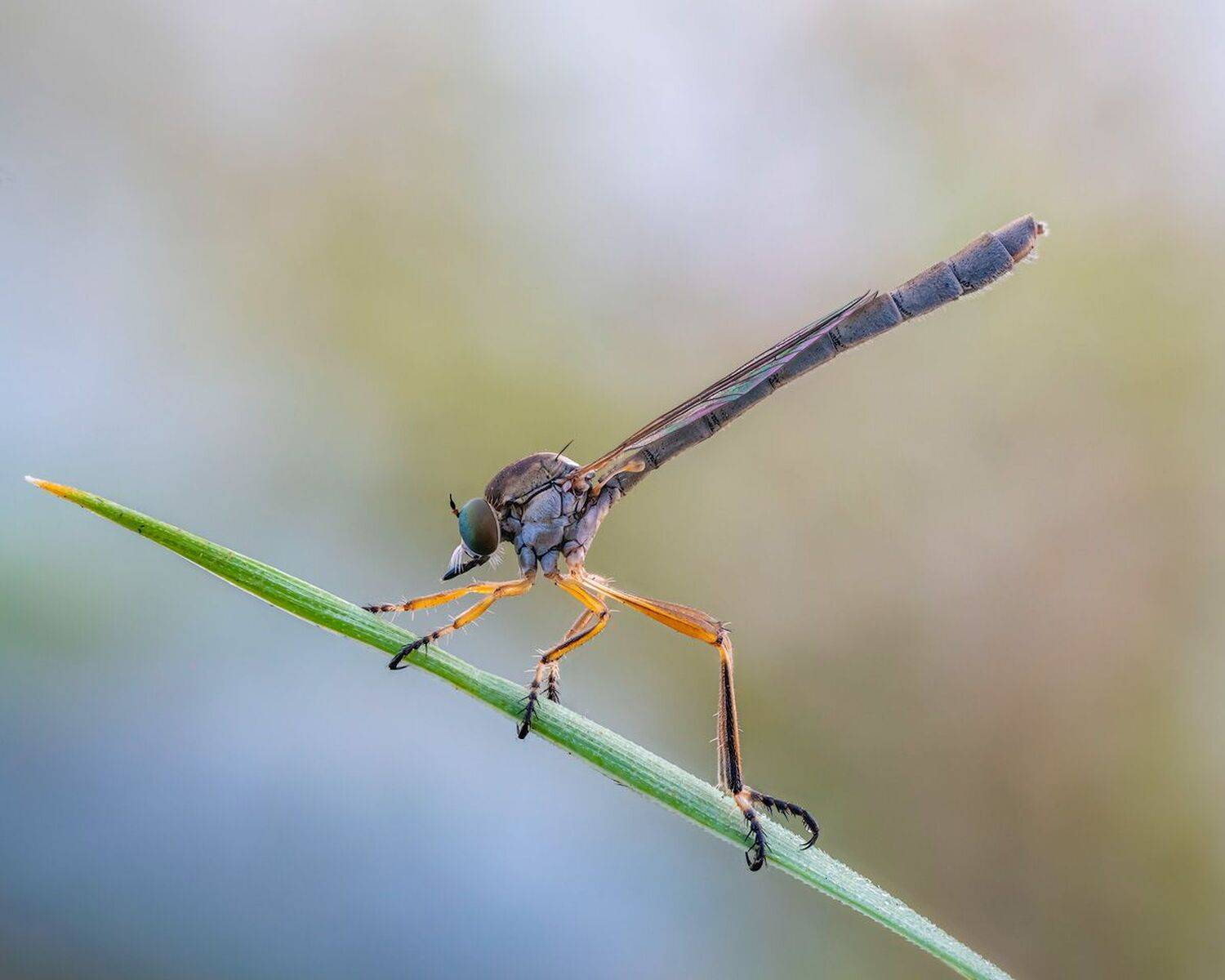 , Сергей Брагин