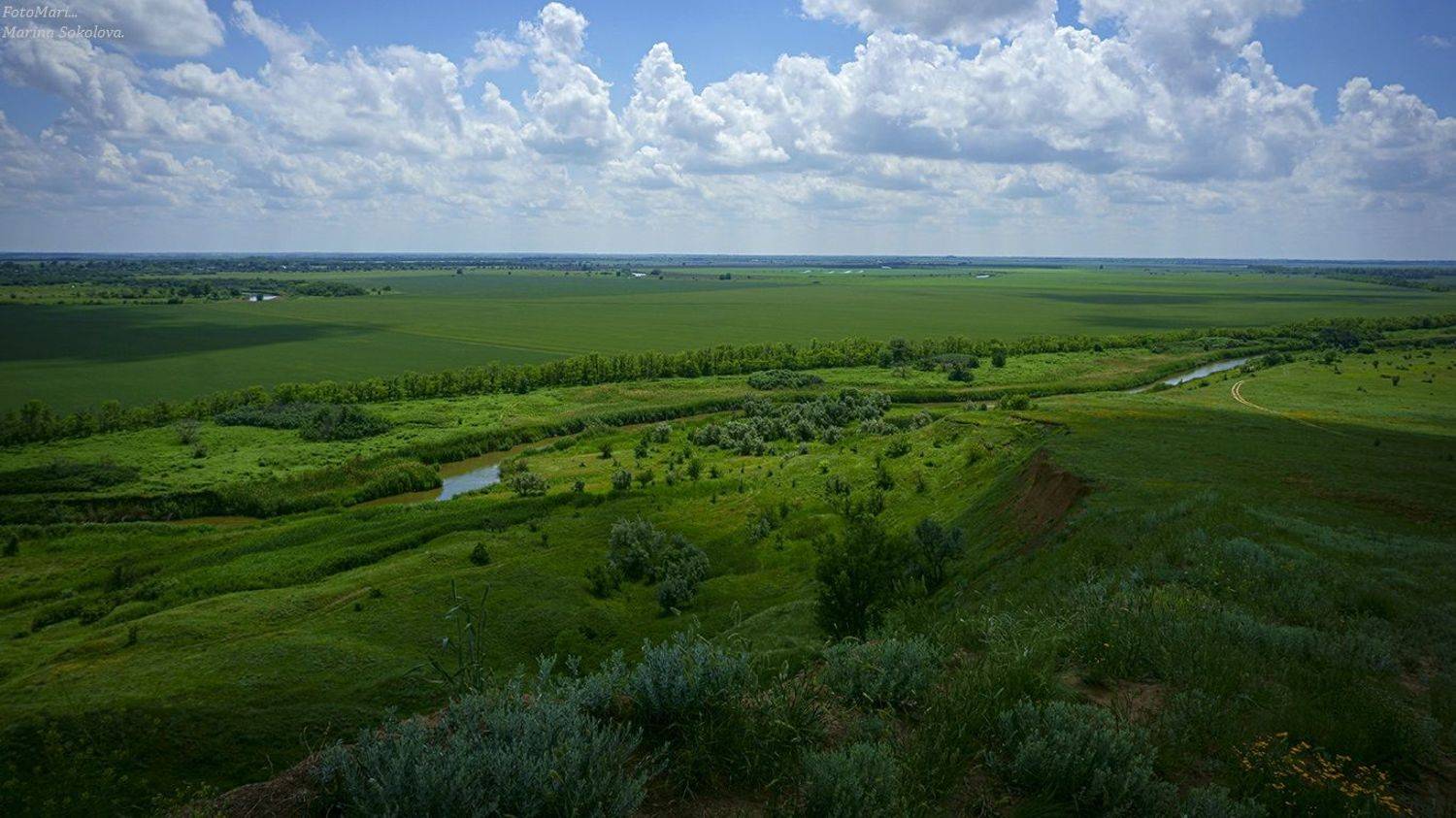 , Марина Соколова
