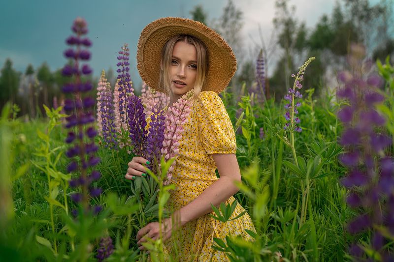 Люпины фото превью