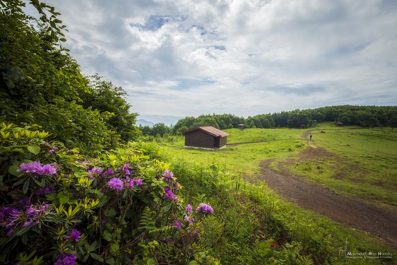 Spring фото превью