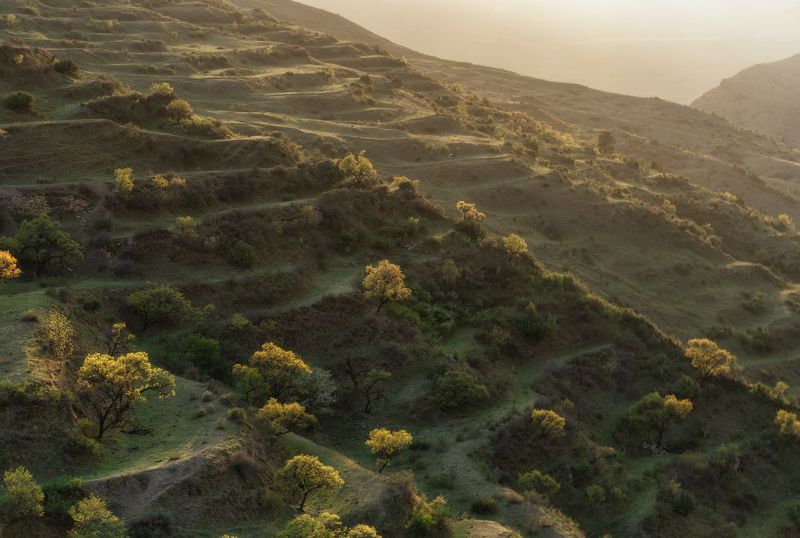 Дагестан, Чох, Гуниб, террасы Чохские террасы фото превью