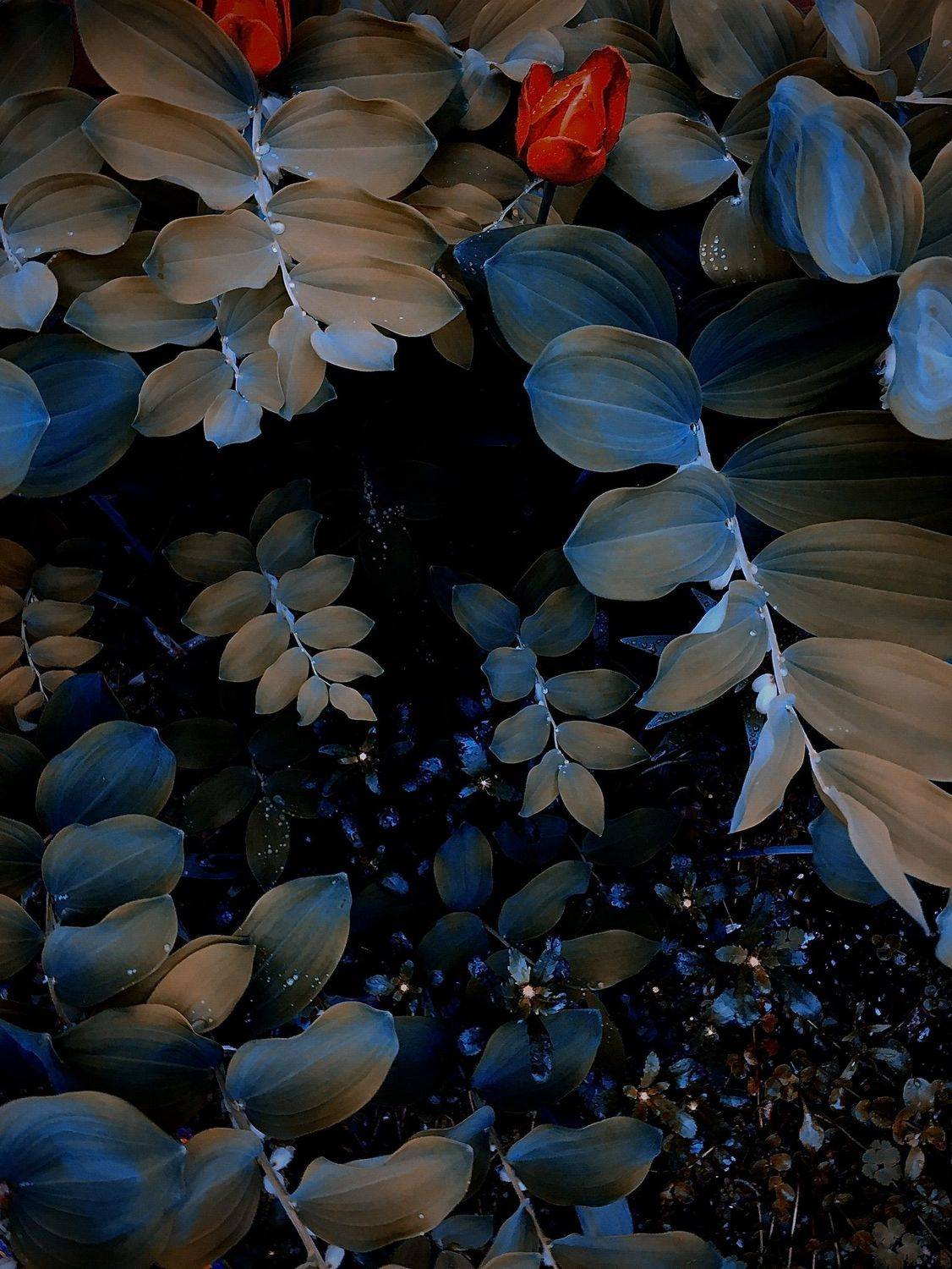 , Станислав Ситников