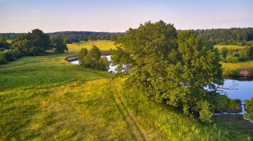 Лето летнее