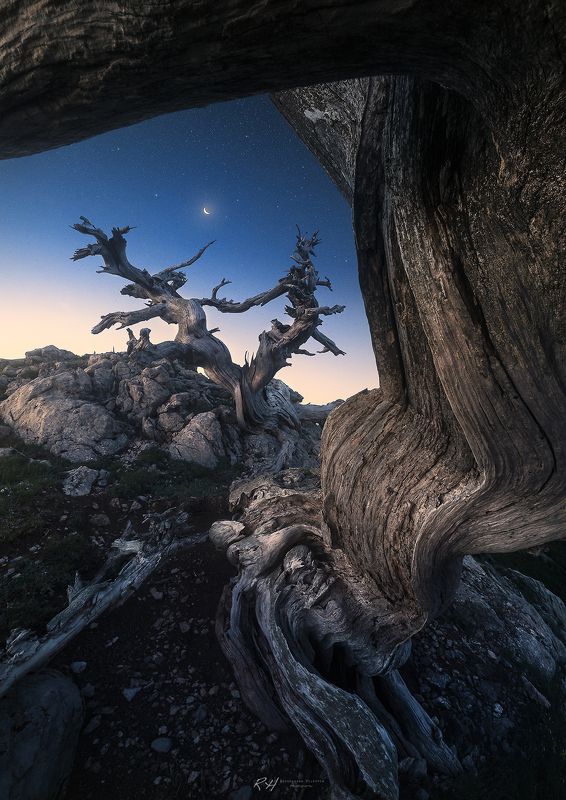 The Eternal Waltz фото превью