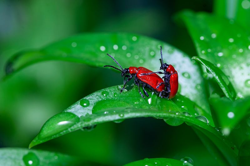 Ю-хууу!!! фото превью