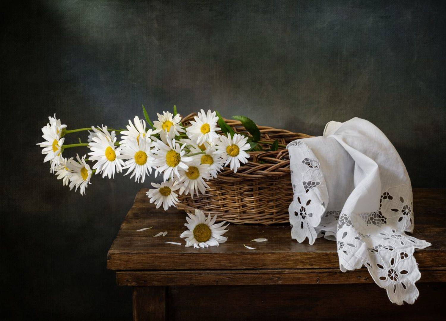 натюрморт, цветы, ромашки, Оля