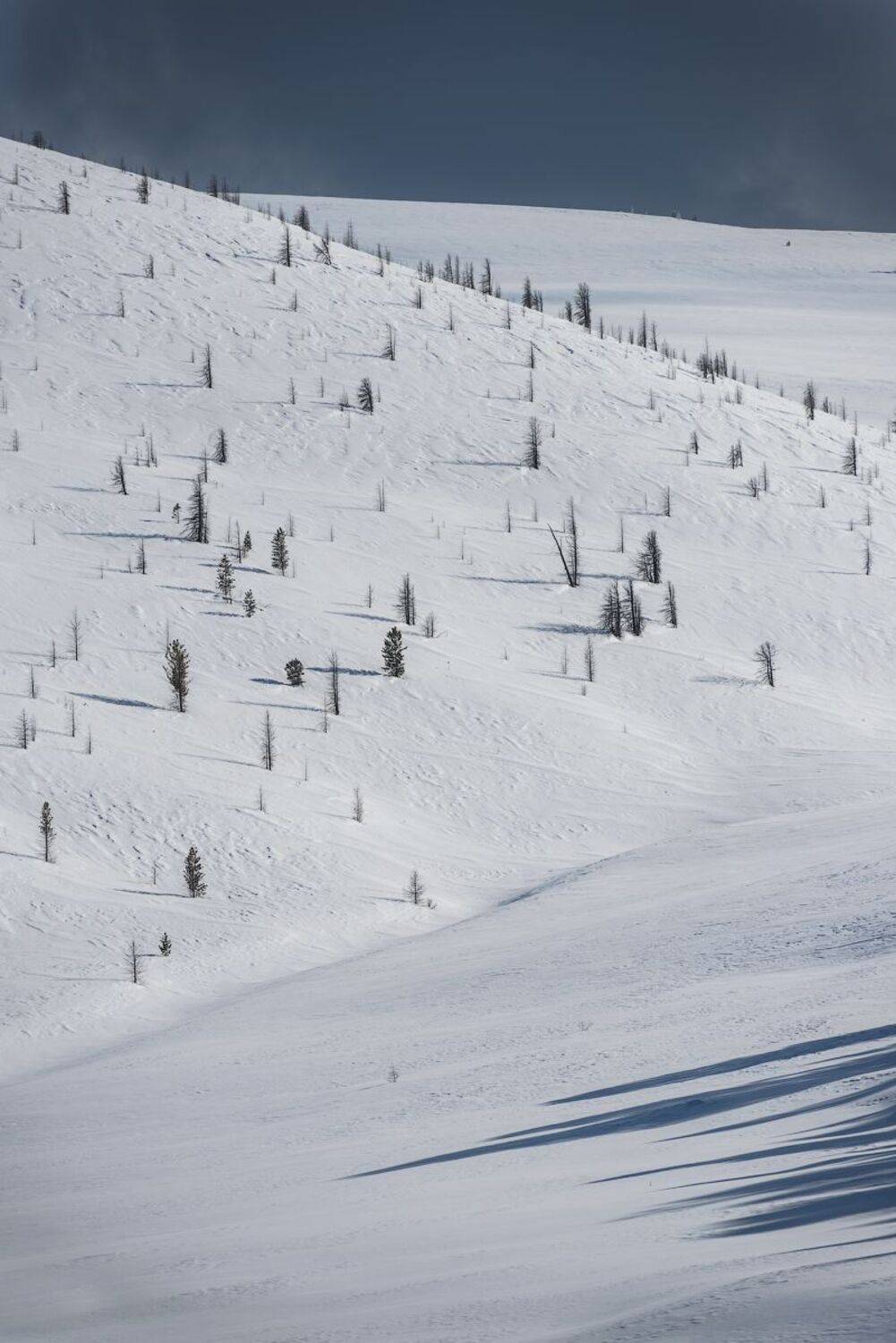 Тыва Тува Тоджа Тожа, Кутыгин Эдуард