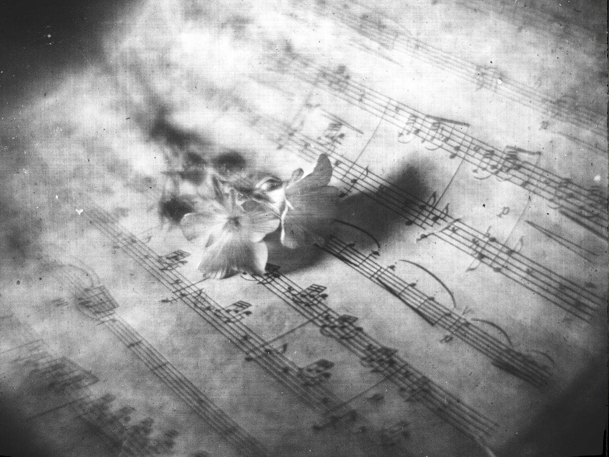 #haruhisacamera + monocle helios 44-2, Татьяна Аверина