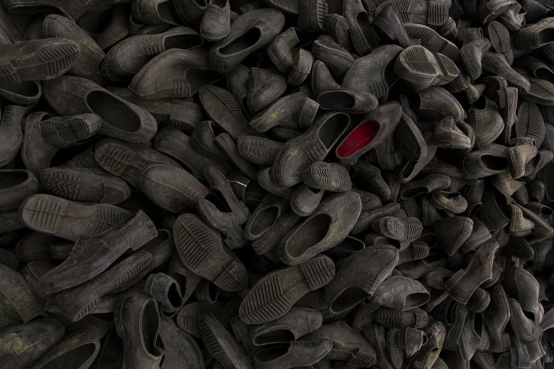 extinction фото превью