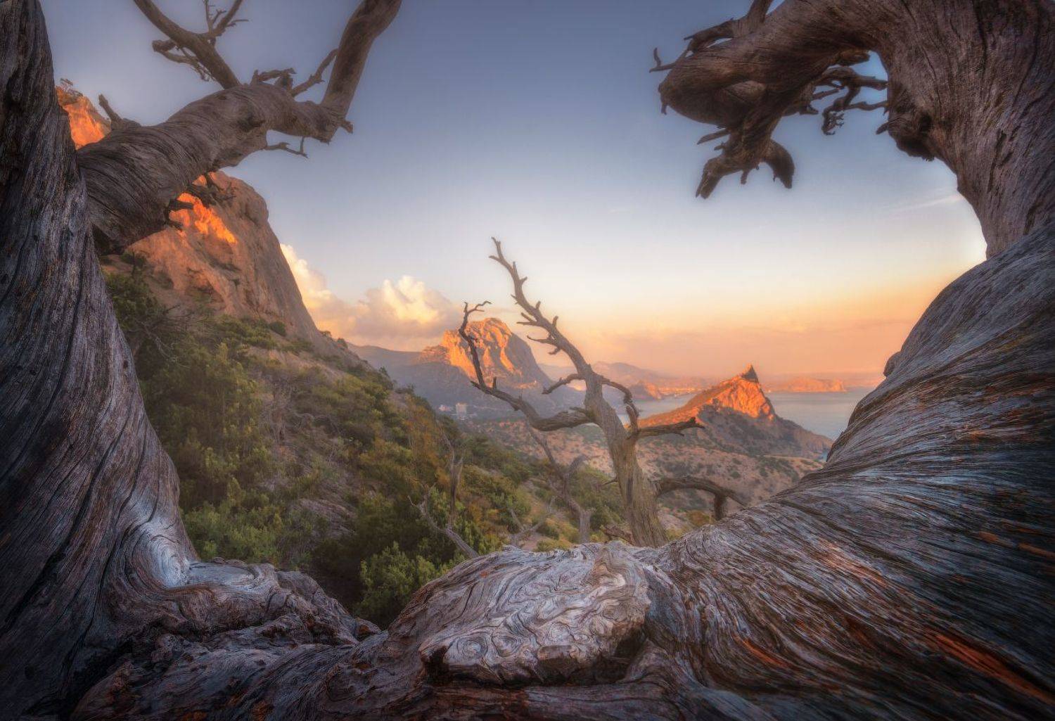 , Алексей Агеев