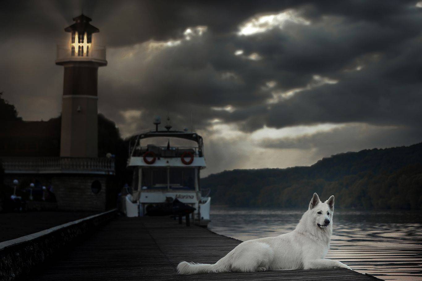 , Андрей Ершов