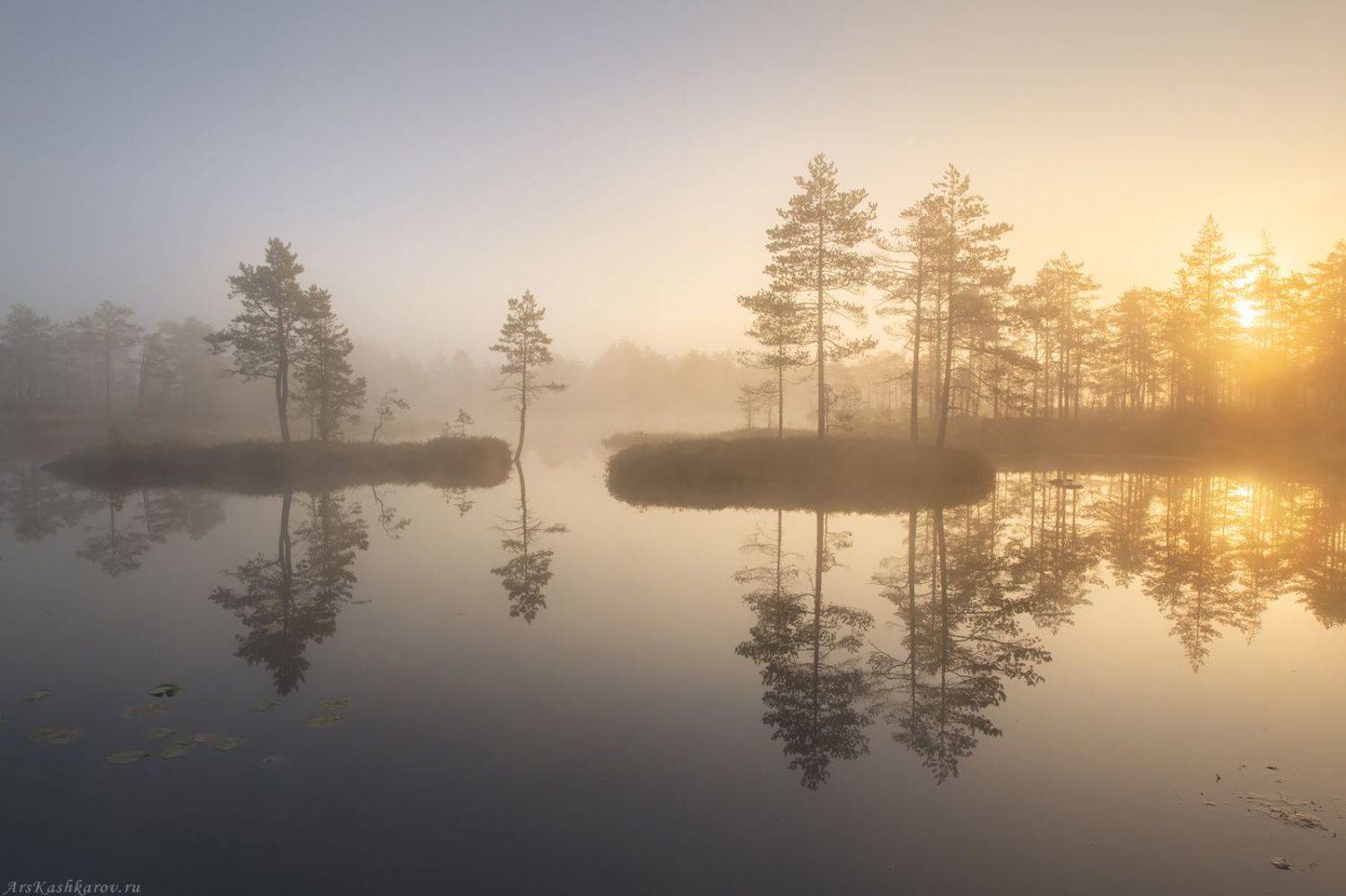 болото, ленобласть, фототур, туман, ленинградская область, восход, Арсений Кашкаров
