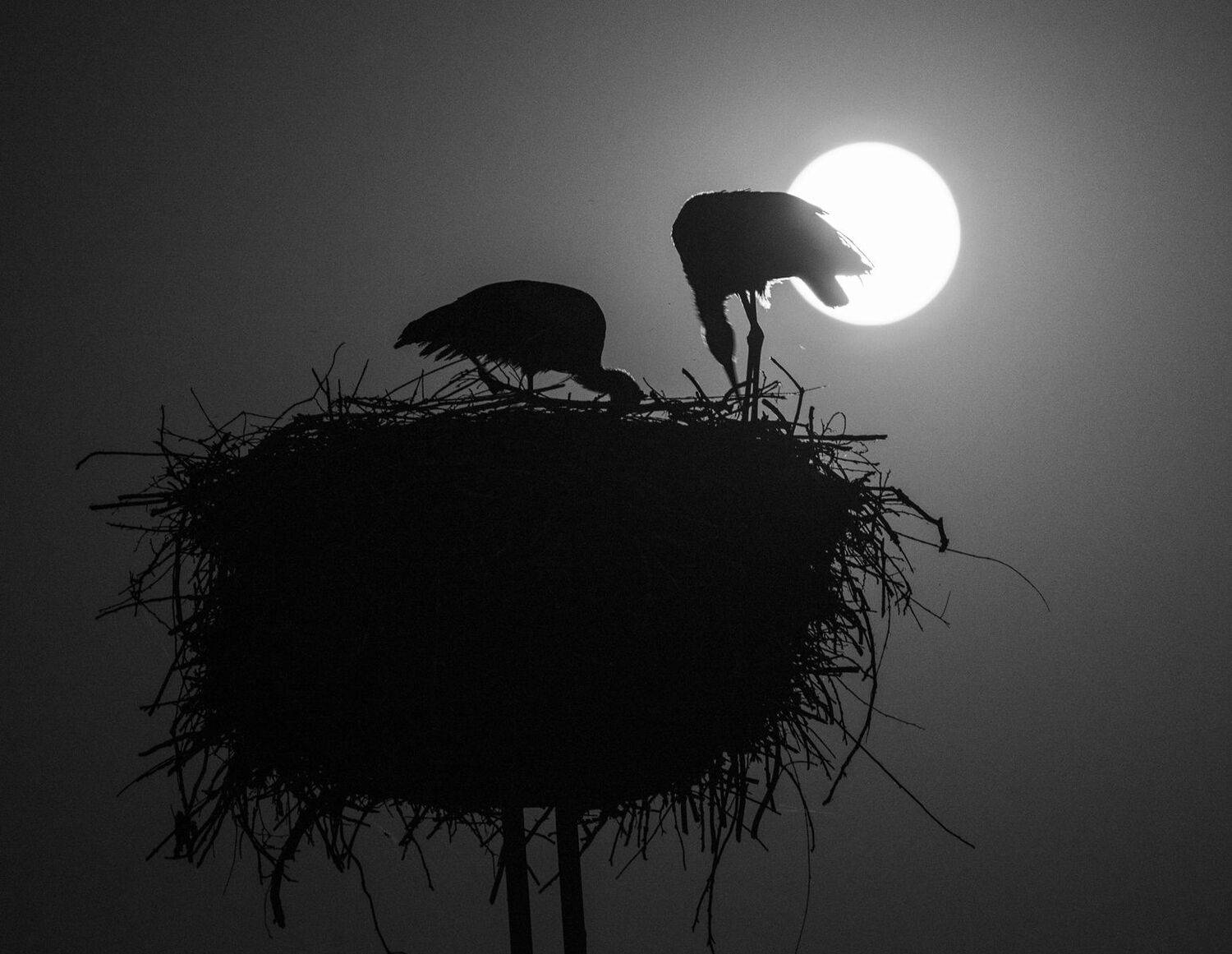 , Юрий Юрьев