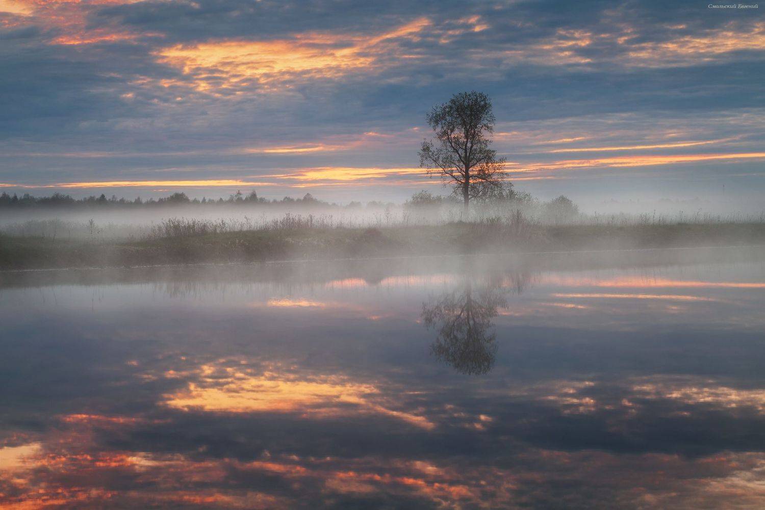 туман, озеро, май, весна, закат, отражение, Смольский Евгений