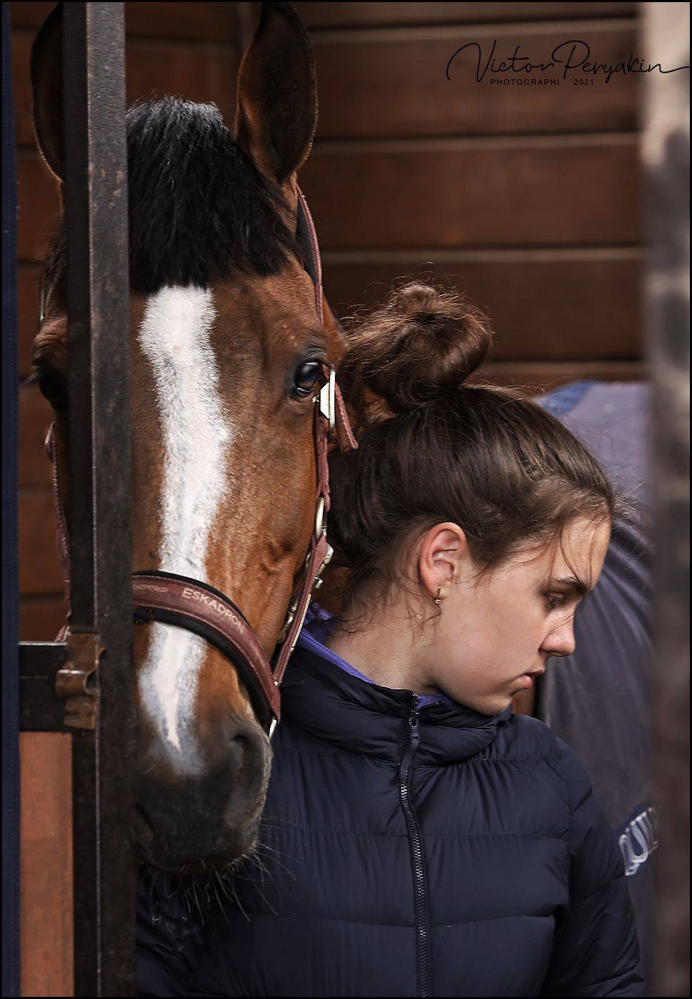 , Виктор Перякин