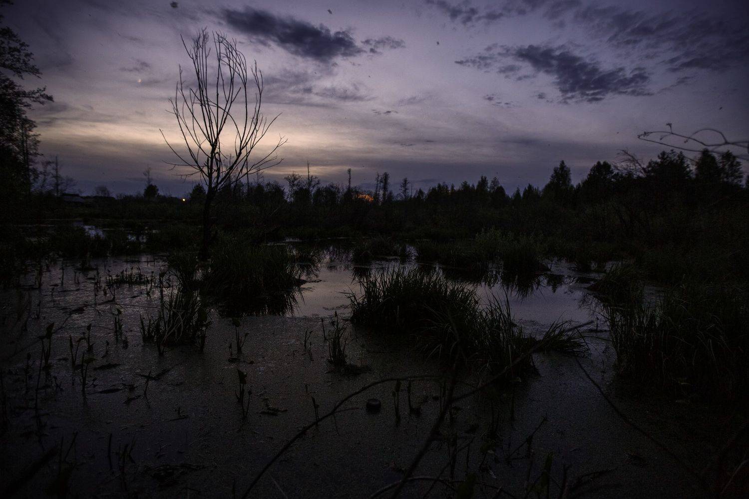 , Владимир Верендеев