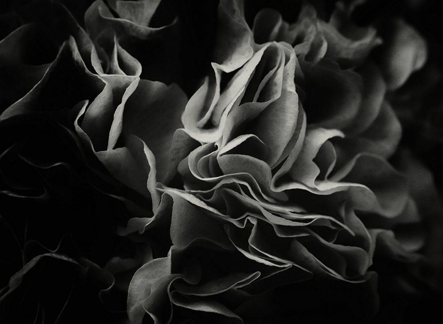 , Сергей Фудиненко