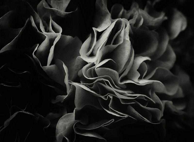 * фото превью