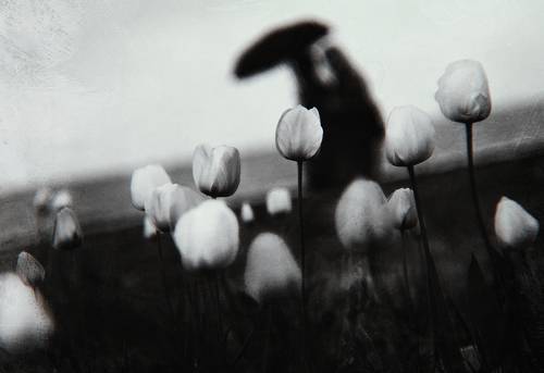 Гелиос. Апрельского ливня фантомы.