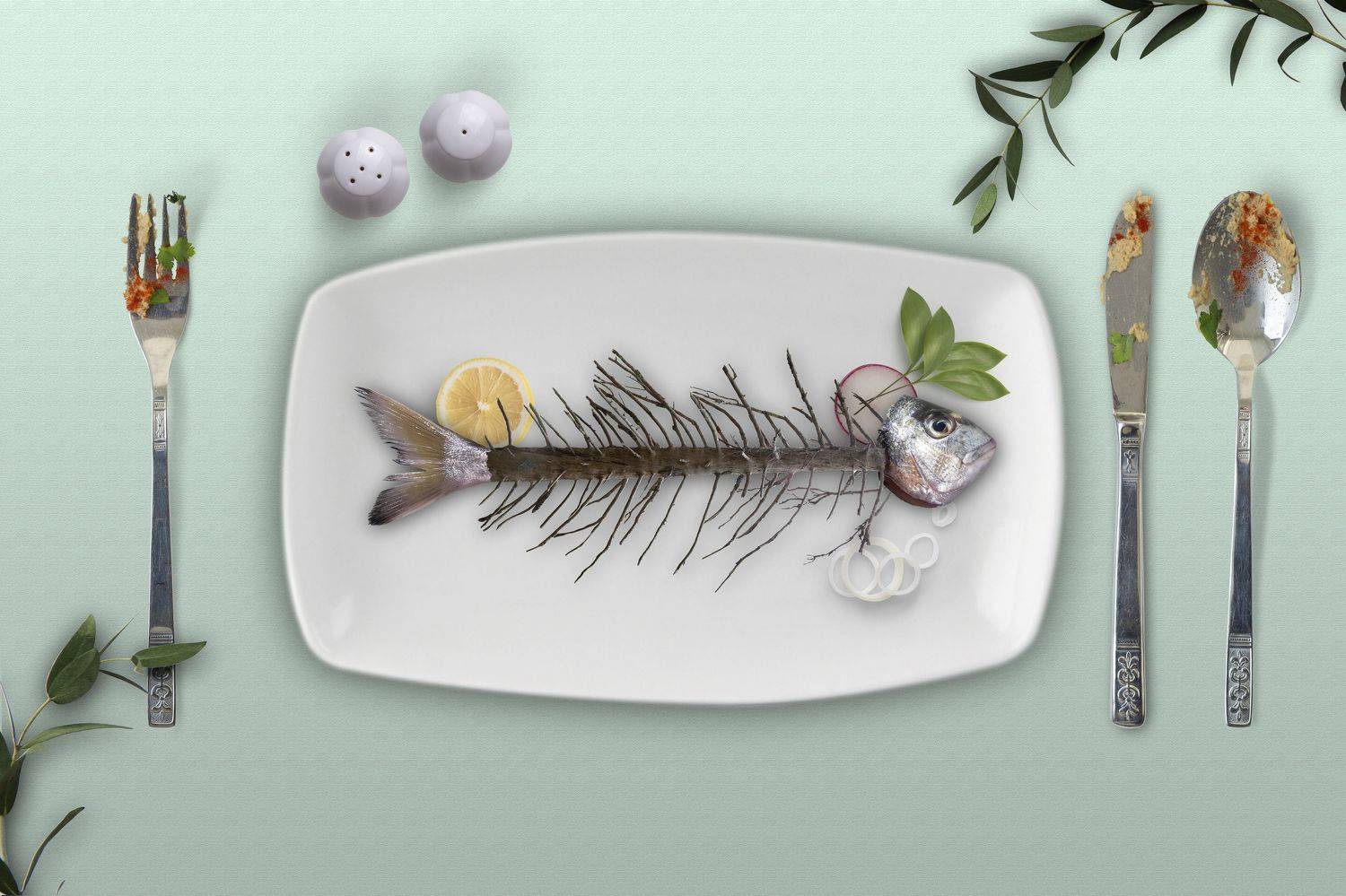 environment, ecological destruction, extinction, Derya Doni