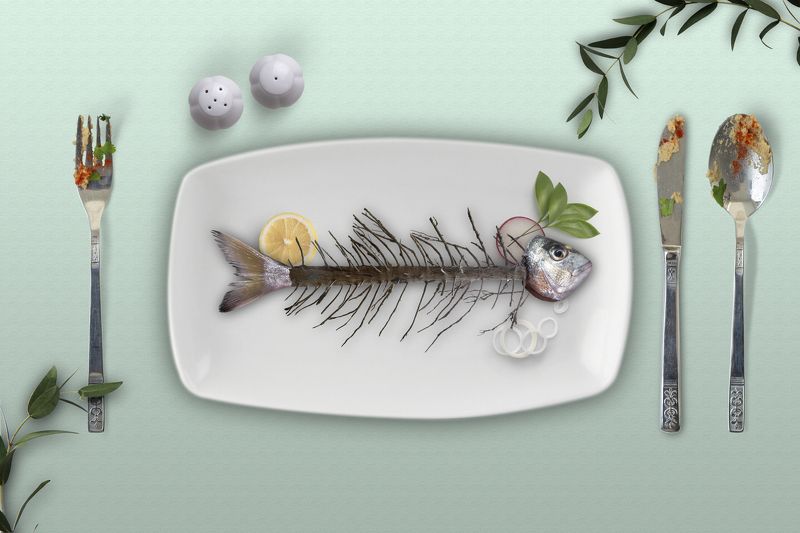 environment, ecological destruction, extinction Gluttony фото превью