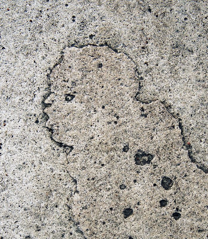 pareidolia *** фото превью