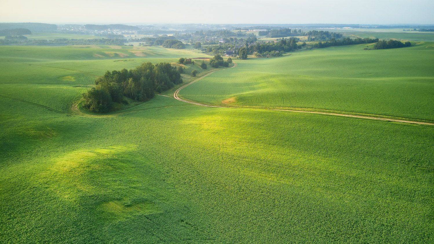 беларусь, деревня, дорога, июнь, лето, минск и окрестности, поля, птичь, утро, Вейзе Максим
