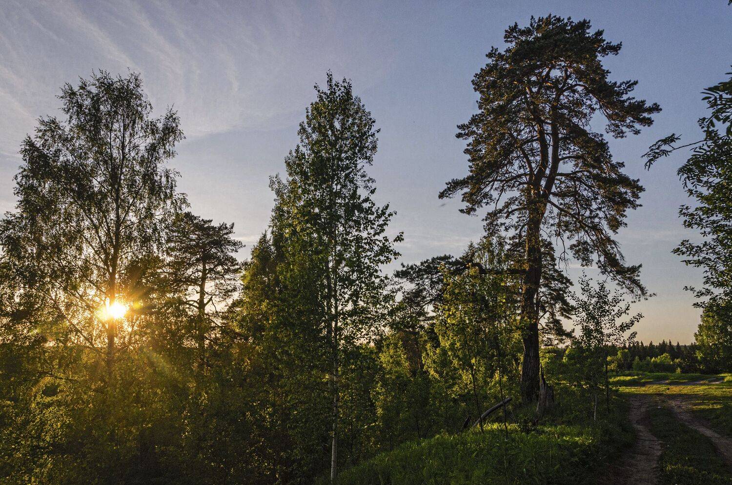 , Александр Березуцкий