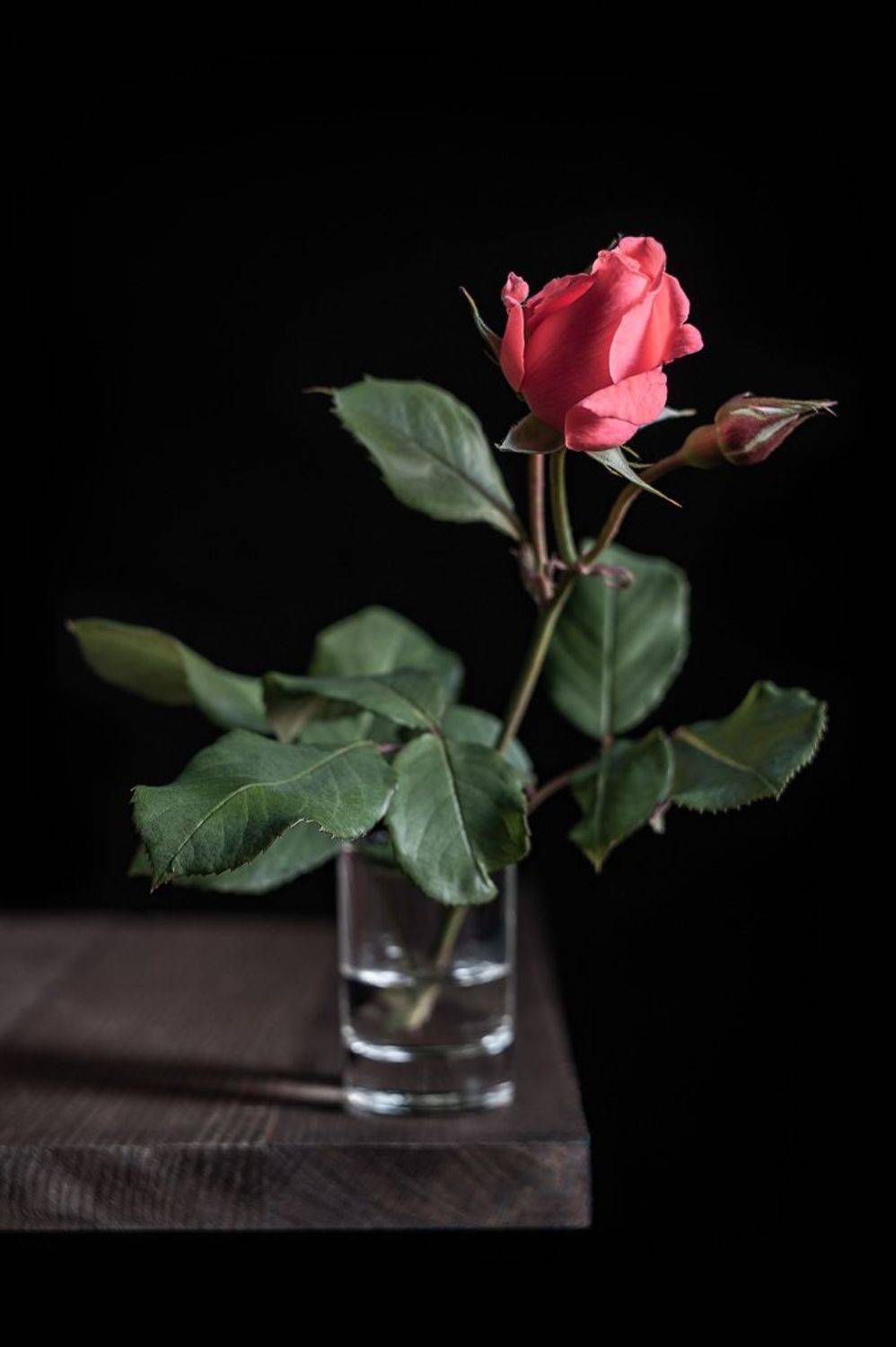 роза, Владимир Тузлай