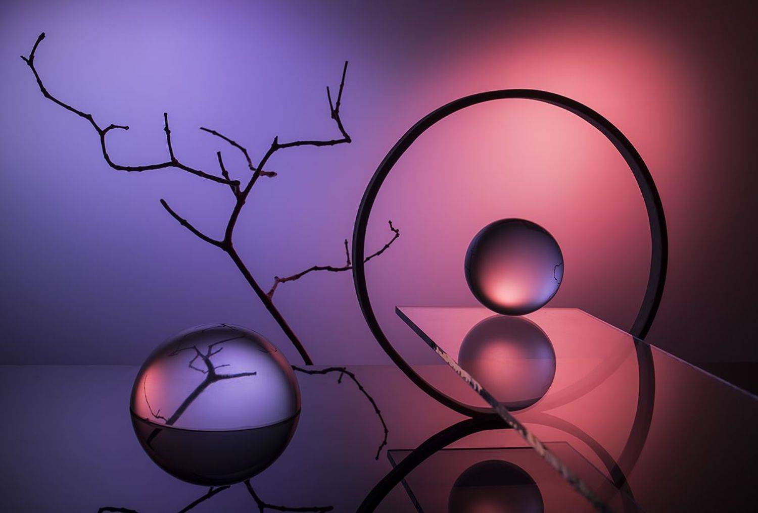 , Евгений Попов