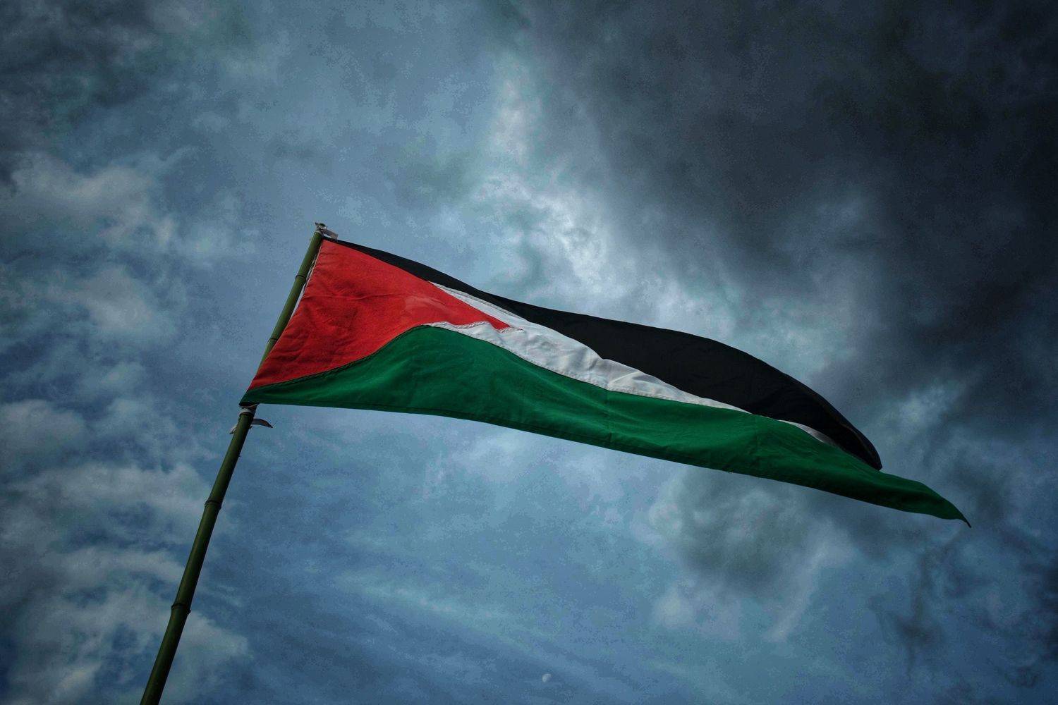 photojournalism press rally protesters, Ga&scaron;per Le&scaron;nik