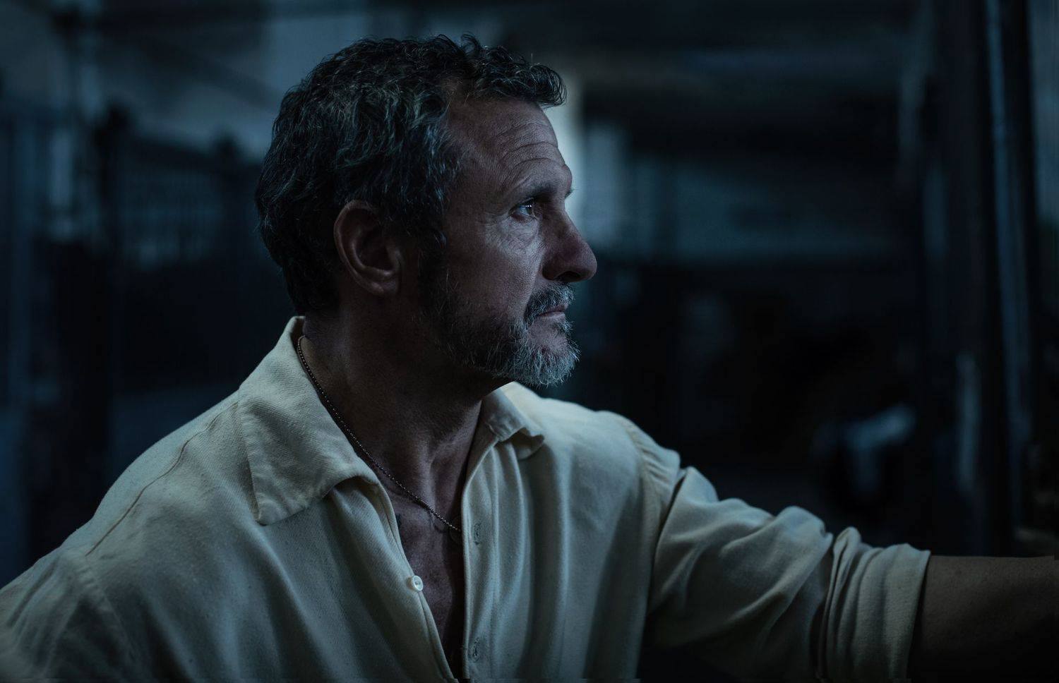 , Vladimir Karamazov