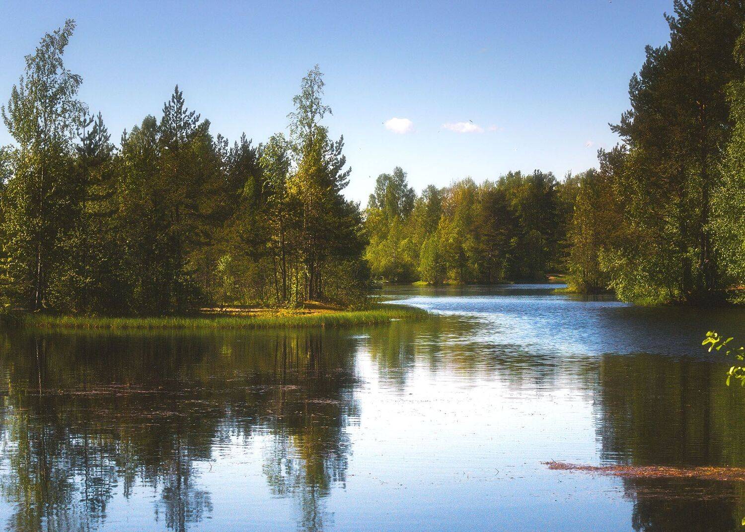 , Алексей Герасимов