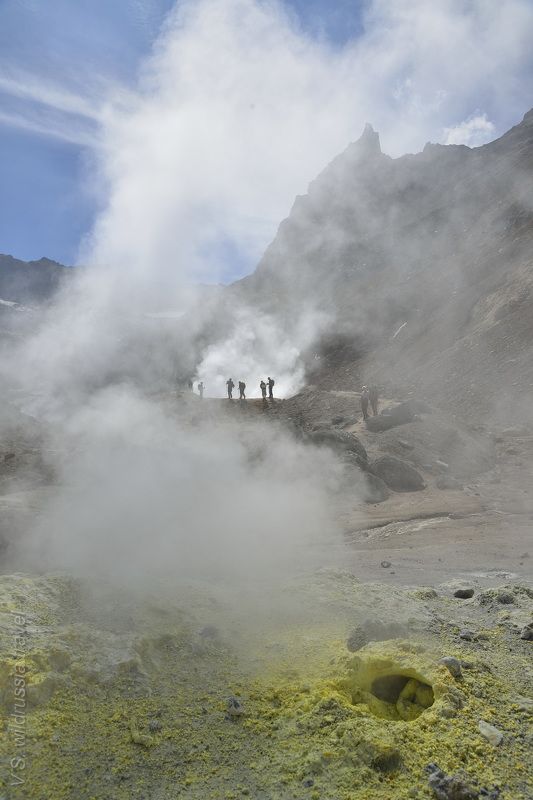 Камчатка, Россия, вулкан, Мутновский, извержение, кратер, риск, приключение, путешествие, шагнивнеизведанное Камчатка (из цикла) фото превью