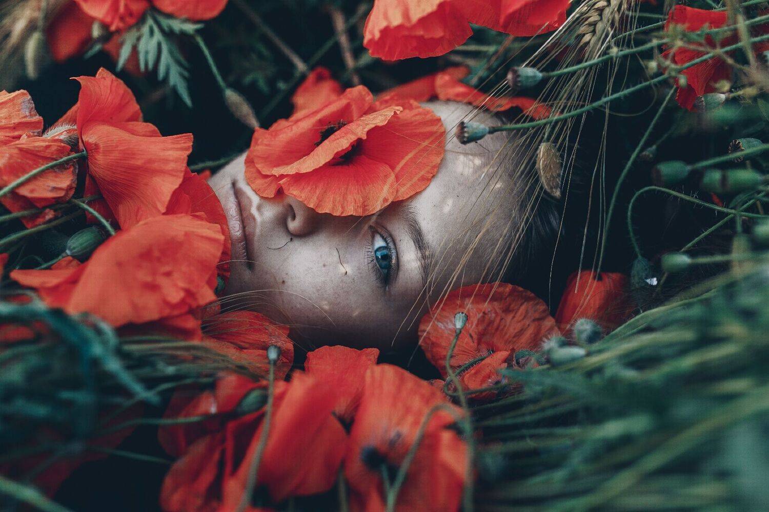 35mm, 4x5, 6x6, 6х6, 85mm, Art, Artnude, Ballerina, Ballet, Battur, Beautiful, Beauty, Canon, Canon 5D Mark III, Car, Color, Dance, Dress, Emotion, Eyes, Face, Flowers, Ganzo, Genre, GirlHair, Hero,LightLilac, Model, Mongol, Mongolia, Вероника Гергерт