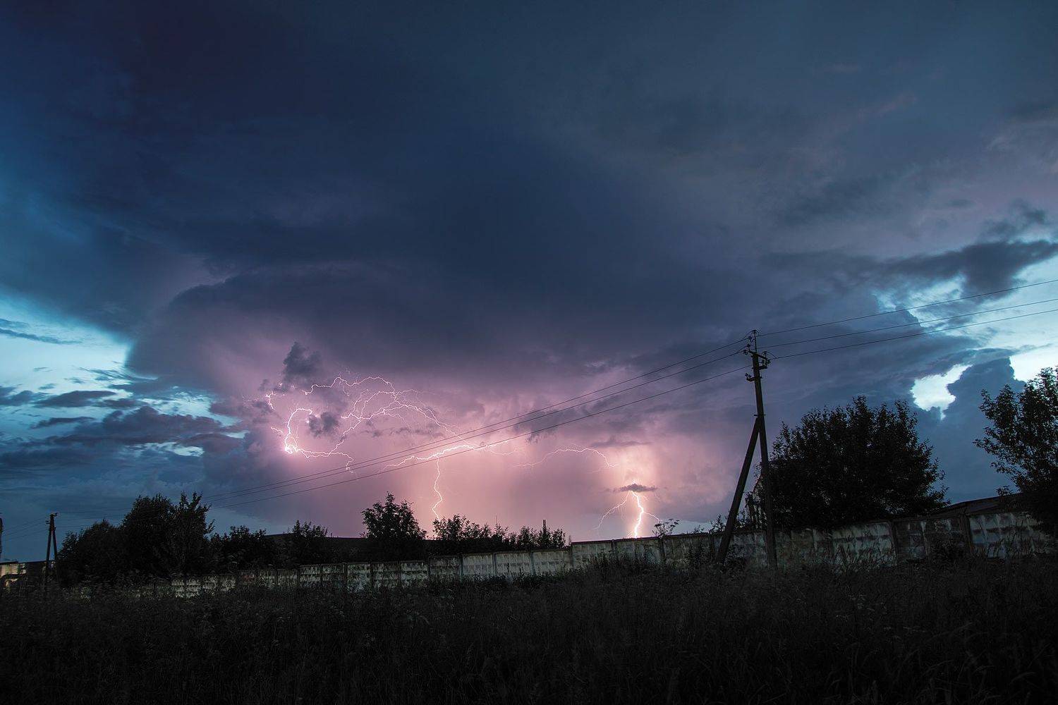 ,  Александр