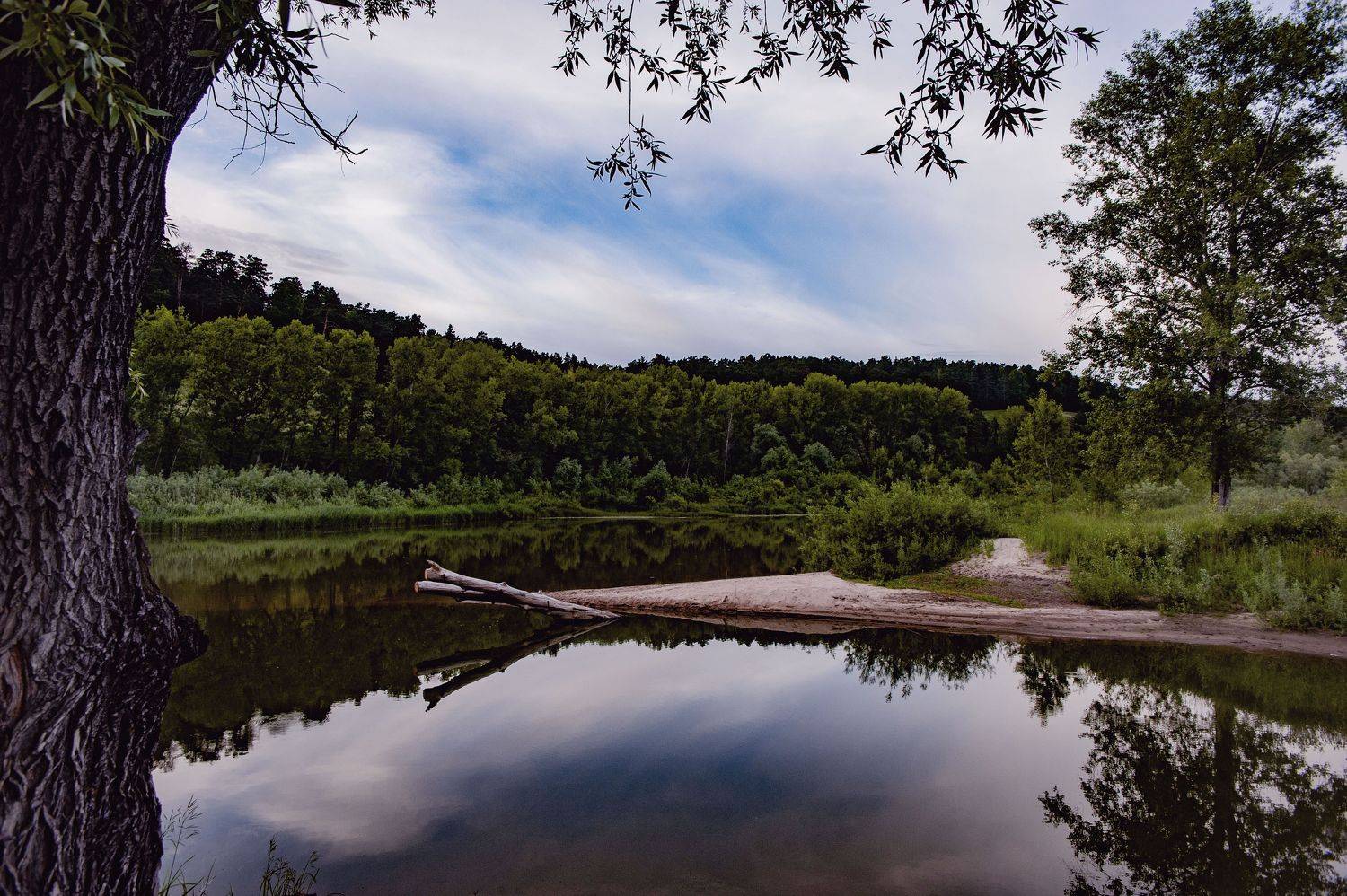 , Филипп Медведев