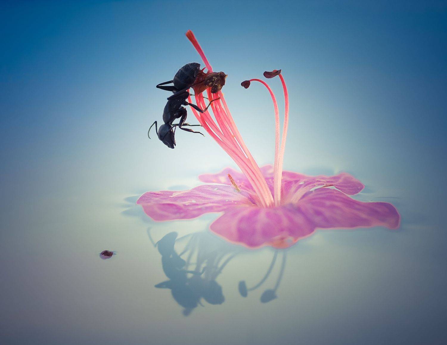 , Тодор Божков