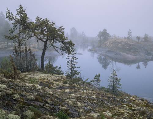 Ладожские шхеры в тумане