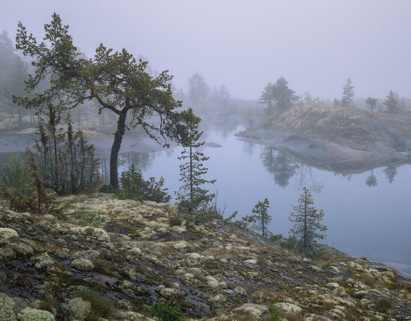 ладожские шхеры, карелия, ладога, ладожское озеро Ладожские шхеры в тумане фото превью