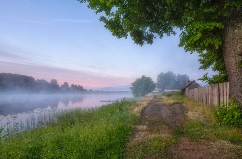 Свежесть летнего утра фото превью