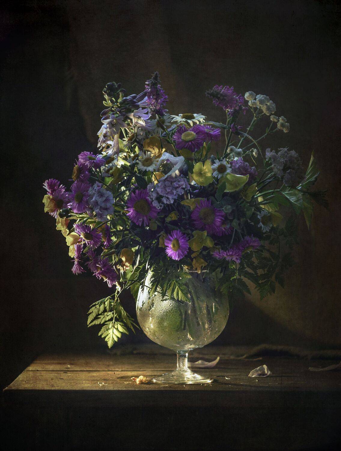 , Светлана Сушкевич