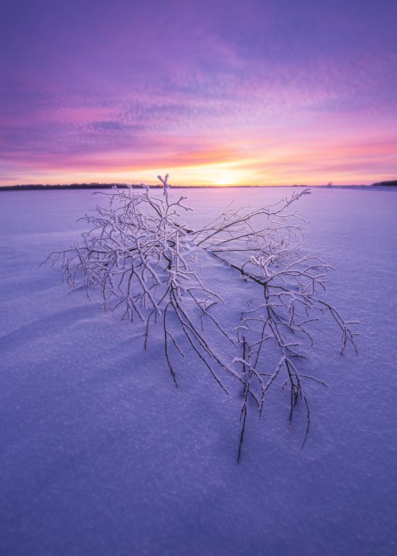югра, хмао, ханты-мансийский автономный округ Декабрьский закат фото превью