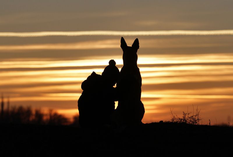 Провожая уходящий день фото превью