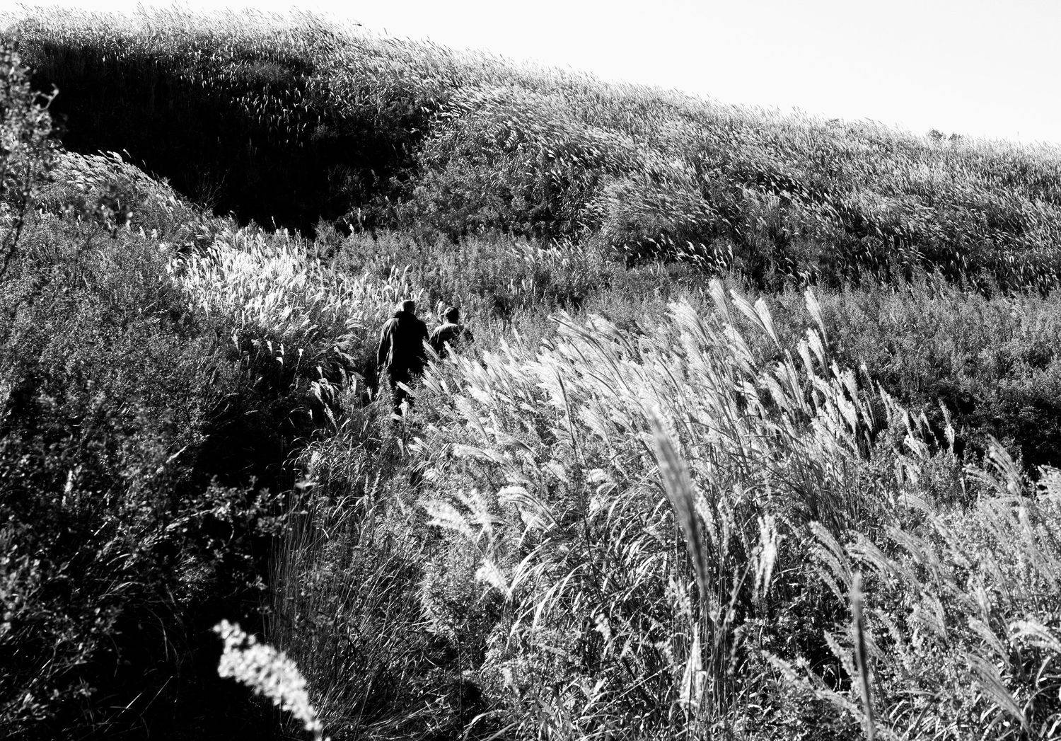 , Чернышев Валерий