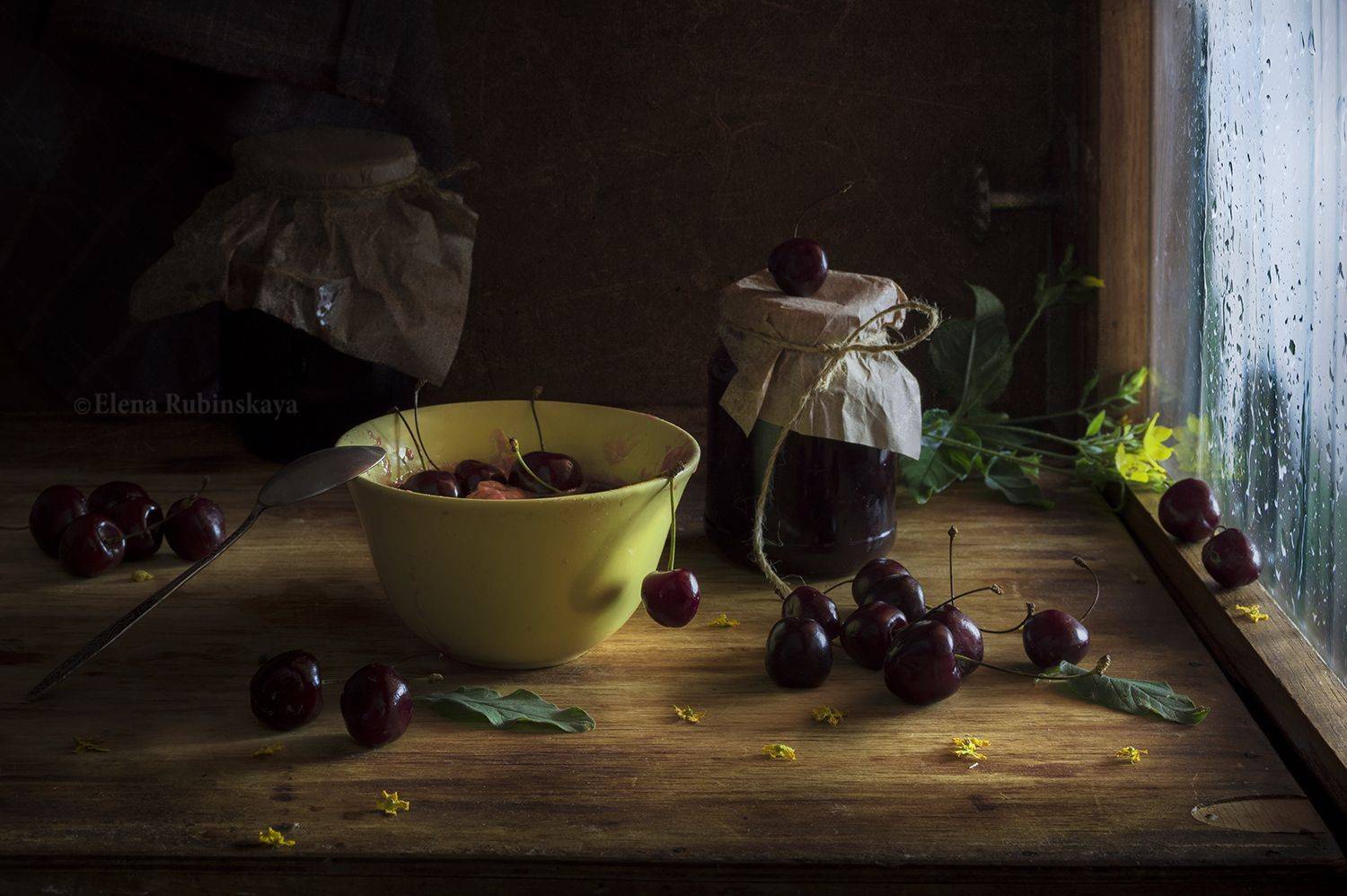 , Елена Рубинская